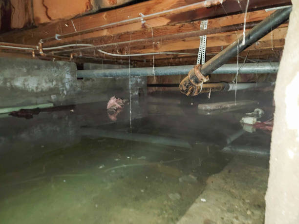 24/7 water damage repair in OH