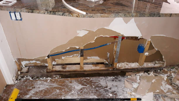 Best Local water damage restoration  in Leipsic, OH