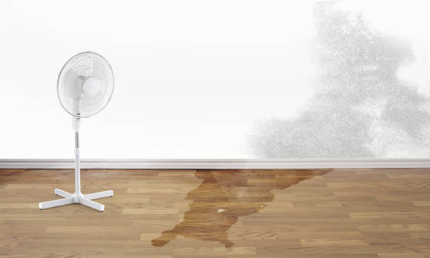 Best Fire Damage Restoration  in Leipsic, OH