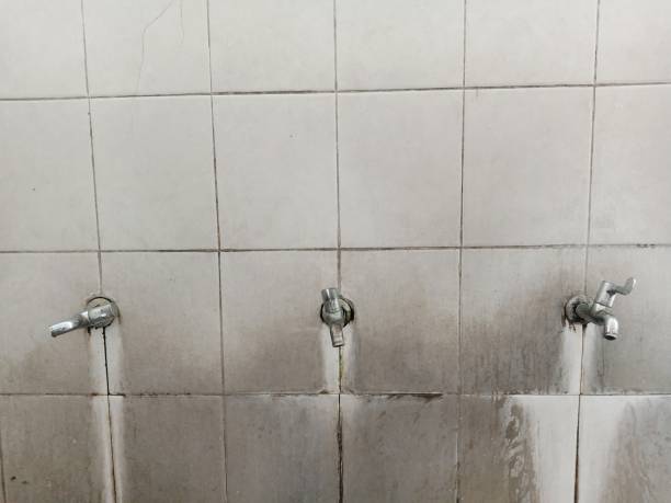Best Local water damage restoration  in Leipsic, OH