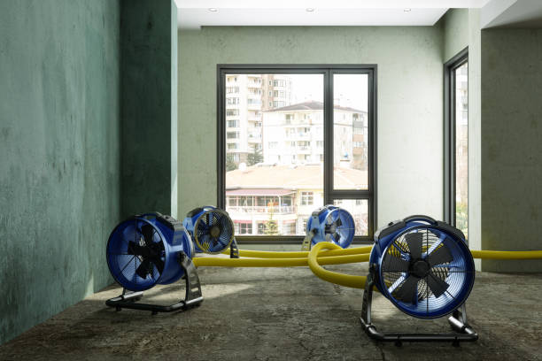 Best Residential water damage restoration  in Leipsic, OH