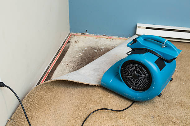 Best Flooded house restoration  in Leipsic, OH